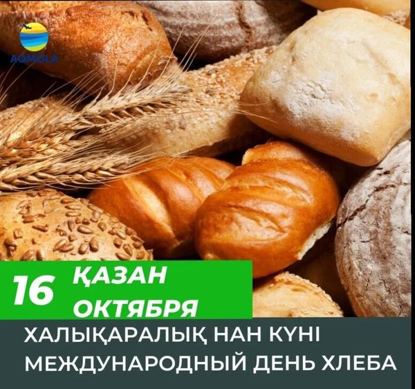 16 қазан – Дүниежүзілік  Нан күні. Бүгін, 2024 жылдың 16 қазанында «Чириковка орта мектебі» КММ «Ас атасы нан» суреттер көрмесі ұйымдастырылды.